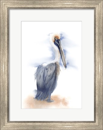 Framed Pelican III Print