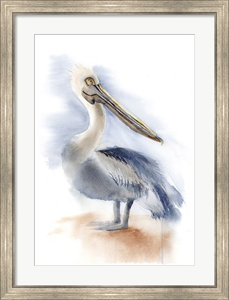Framed Pelican IV Print