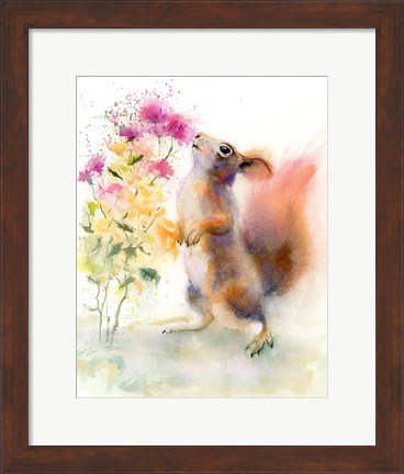 Framed Sniffing Squirrel Print