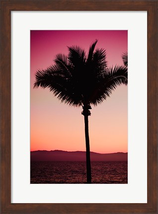 Framed Pink Palm Print