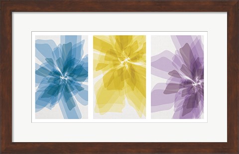 Framed Three X-Ray Flowers Print