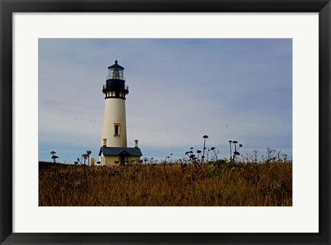 Framed Lighthouse V Print