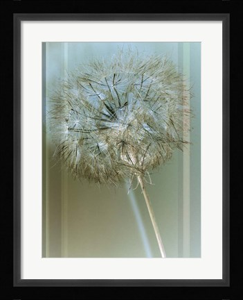 Framed Flaura I Print