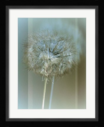 Framed Flaura II Print