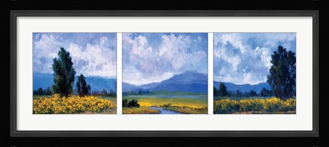 Framed Golden Age Print