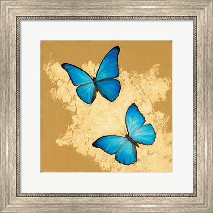 Framed Cerulean Butterfly I Print