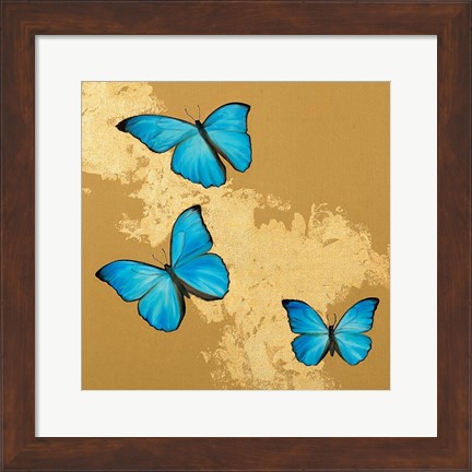 Framed Cerulean Butterfly II Print