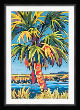 Framed Pine Island Palm Print