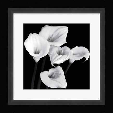 Framed Harmony Print