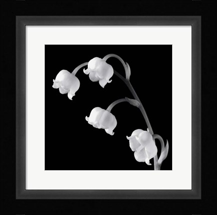 Framed Spring Bells I Print