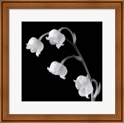 Framed Spring Bells I Print