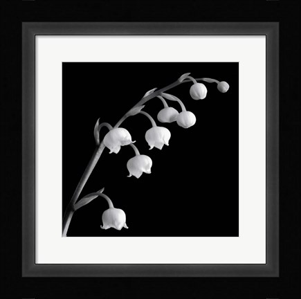 Framed Spring Bells II Print