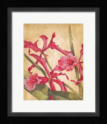 Framed Hawaiian Tropics I Print
