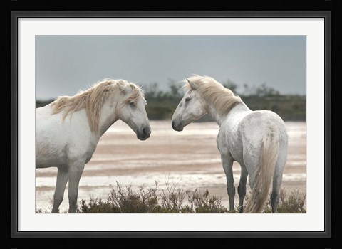 Framed Friendship Print
