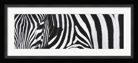 Framed Always Here Print