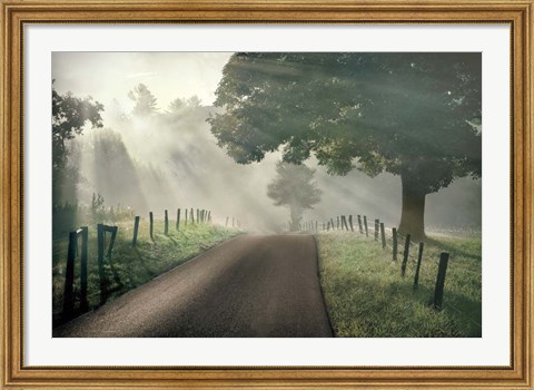Framed Misty Print