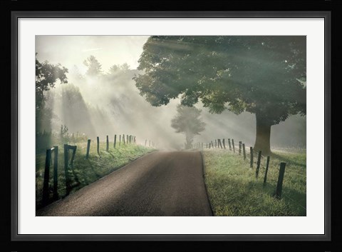 Framed Misty Print