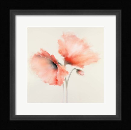 Framed Pink Chiffon II Print