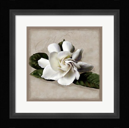 Framed Botanical Gardenia Print
