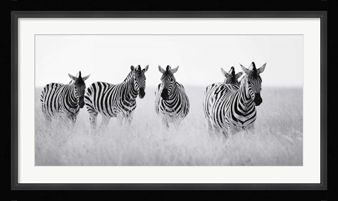 Framed Meeting Place Print