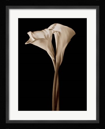 Framed Embrace Print