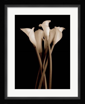 Framed Gathering Print