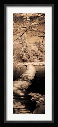 Framed Quiet Stroll II Print