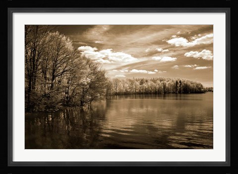 Framed Nature's Glory Print