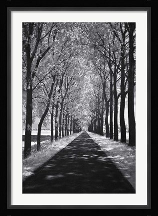 Framed Follow Me Print