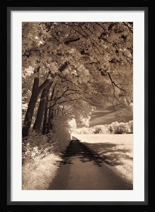 Framed Path Ahead Print