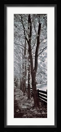 Framed Walk To Remember II Print