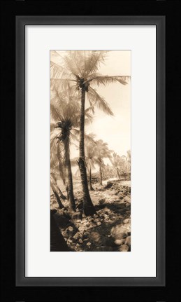Framed Equatorial Breeze I Print