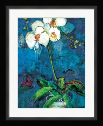 Framed Phalaenopsis I Print