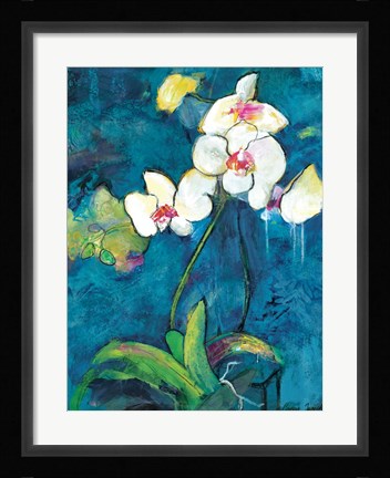 Framed Phalaenopsis II Print