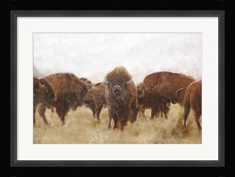Framed Buffalo Print