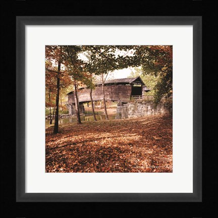 Framed Humpback Fall Print