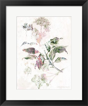 Framed Boho Verbena Botanical Print