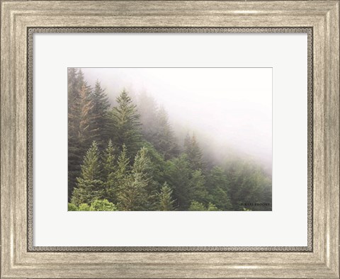Framed Alaska Green Trees I Print