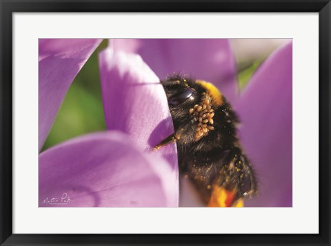 Framed Bee II Print