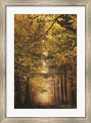 Framed Memories of the Past Print