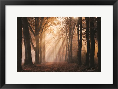 Framed Look for the Light in All Things Print