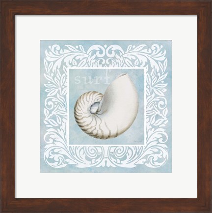 Framed Sandy Shells Blue on Blue Nautilus Print