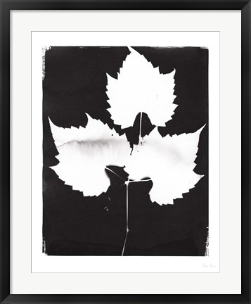Framed Nature by the Lake Leaves I Black Print