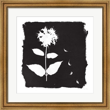Framed Nature by the Lake Flowers II Black Print