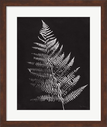 Framed Nature by the Lake Ferns VI Black Crop Print
