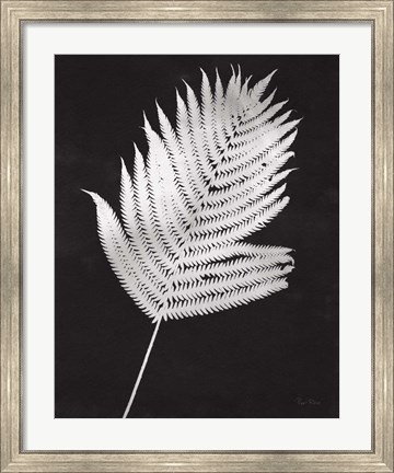 Framed Nature by the Lake Ferns III Black Crop Print