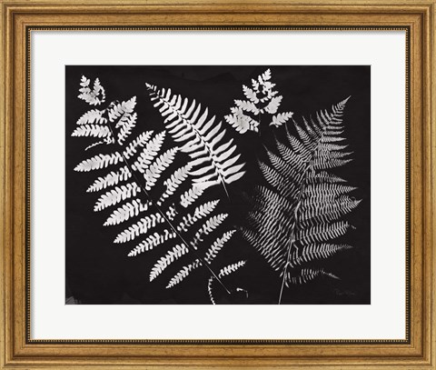 Framed Nature by the Lake Ferns II Black Crop Print