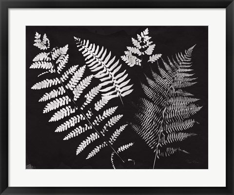 Framed Nature by the Lake Ferns II Black Crop Print
