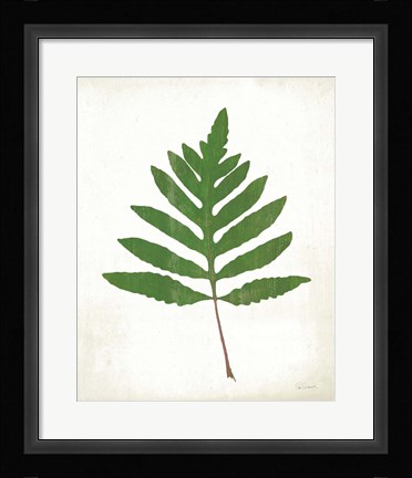 Framed Chalkboard Fern Green I Print