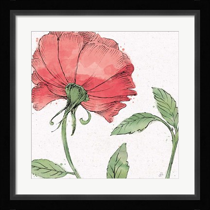 Framed Blossom Sketches IV Color Print